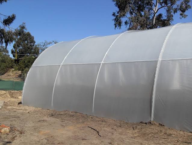Greenhouse